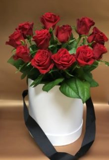 Rose in White Pot | Bloomers Florist & Gifts Hervey Bay Bloomers Florist Hervey Bay Maryborough Flower Delivery Rose in White Pot