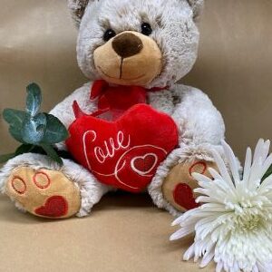 Teddy Bear With Heart