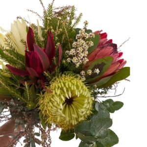 Bloomers Florist Hervey Bay Maryborough Flower Delivery